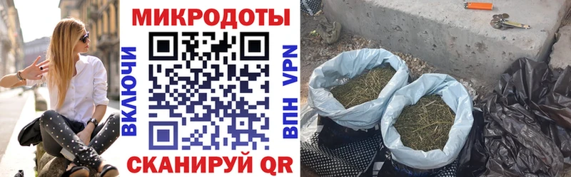 Купить где  Нолинск  Псилоцибиновые грибы MAGIC MUSHROOMS 