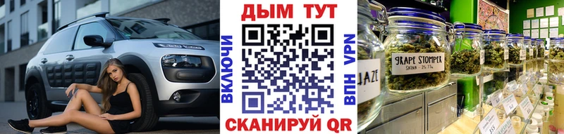 Шишки марихуана планчик  Купить закладки  Нолинск 